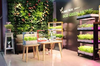 科技賦能園藝 植物盒子如何構建未來智能家居生態生活